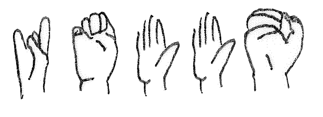 Irish Sign Language Interpreting